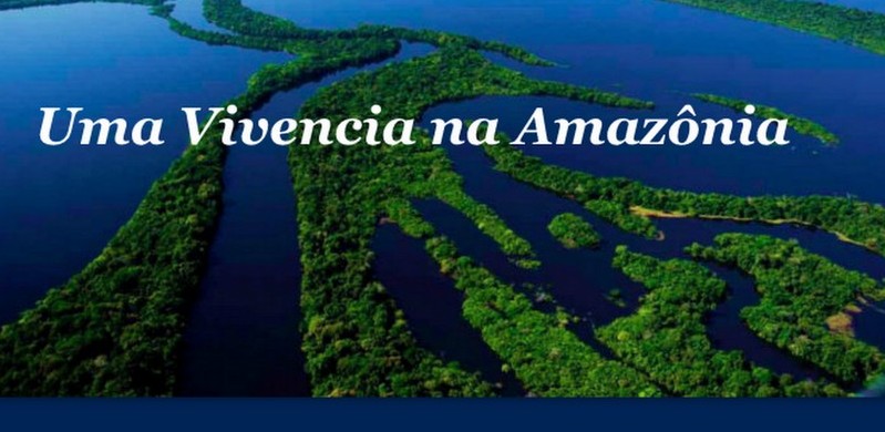 Amazonia6